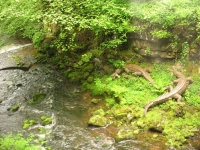 Hazards of Welsh caving - avoid deep river gorges :: Date 2011:05:28 14:22:33 :: Taken by Nigel Dibben :: Camera Canon PowerShot A610