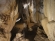 Formations in Cueva Regato 2 :: 2011:08:04 15:49:38 :: Canon PowerShot A610