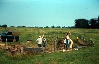 Improvised winch at Field Shaft where the field had collapsed into an old shaft that had probably been lined with timber