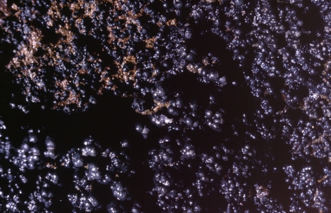 Mottramite inside the mine