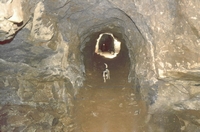 The Hough Level in Wood Mine
