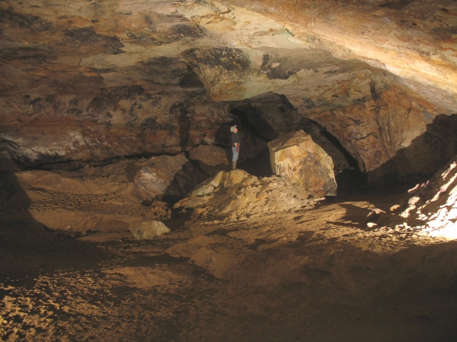 Twisted Pillar Chamber