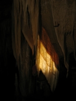 Curtains backlit :: Taken by Nigel Dibben