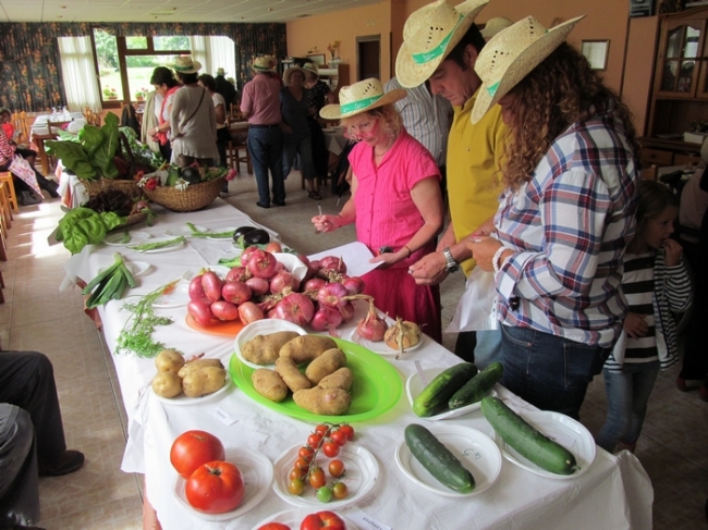 The horticultural competition - judging