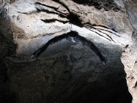 Date 2018:10:30 17:59:55 :: Taken by Nigel Dibben :: Camera Canon PowerShot S5 IS