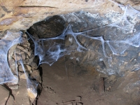 Date 2018:10:30 20:50:02 :: Taken by Nigel Dibben :: Camera Canon PowerShot S5 IS