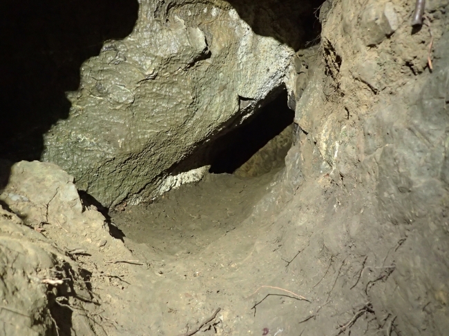 After digging open, the site was blocked by a boulder area but surveyed and photographed