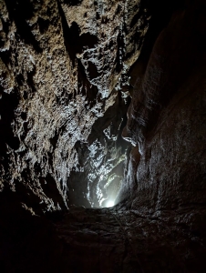 Picture 4: Elizabeth pot Picture 4: Elizabeth pot