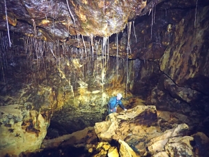 Picture 5: Allan photgraphing