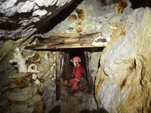 Picture 4: Foam shoring